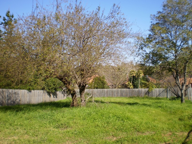 8 Aston Street, Hunters Hill NSW 2110