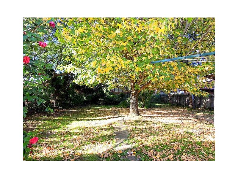 51 DOYLE RD, Revesby NSW 2212