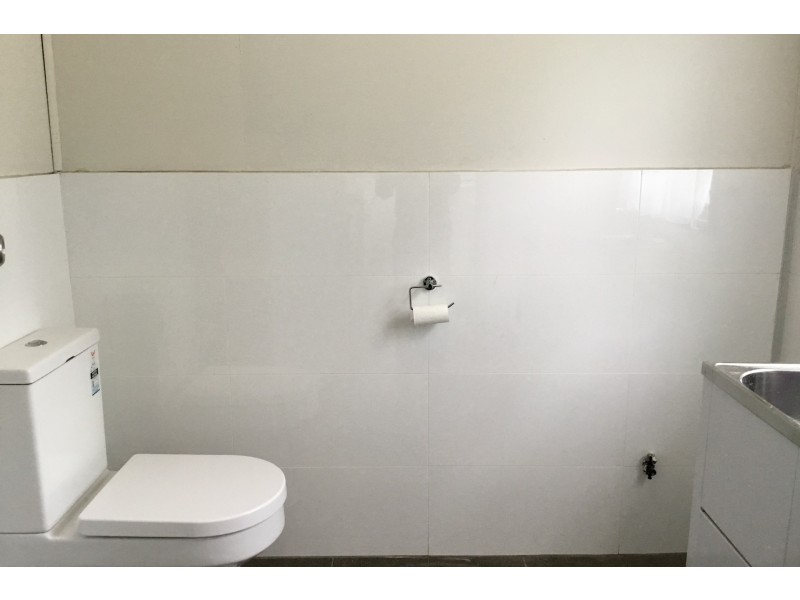 58 Brabyn Street, North Parramatta NSW 2151