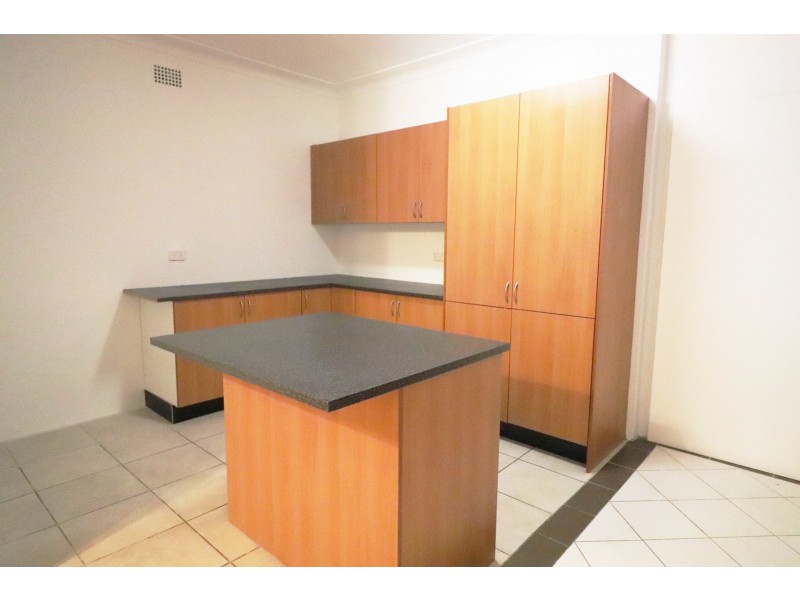 19 Crystal Street, Petersham NSW 2049
