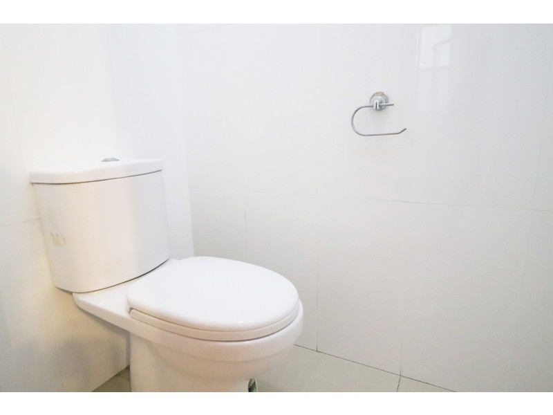 19 Crystal Street, Petersham NSW 2049