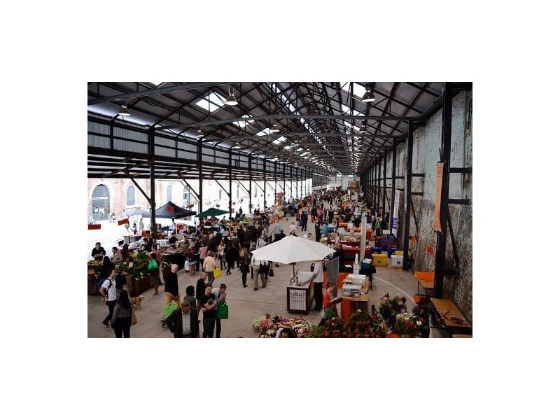 65 Wyndham Street, Alexandria NSW 2015