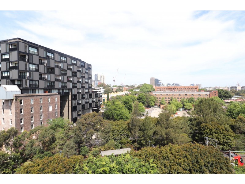 173/2-26 Wattle Crescent, Pyrmont NSW 2009