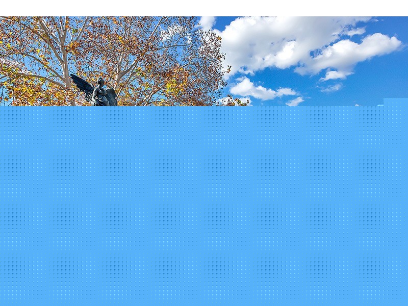 507/1-9 Pyrmont Bridge Road, Pyrmont NSW 2009