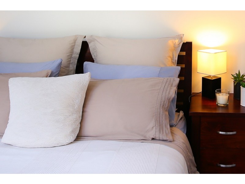 523/243 Pyrmont Street, Pyrmont NSW 2009