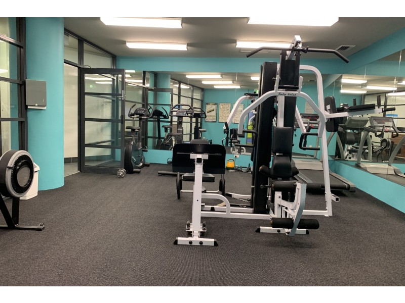 208/2 Jones Bay Road, Pyrmont NSW 2009