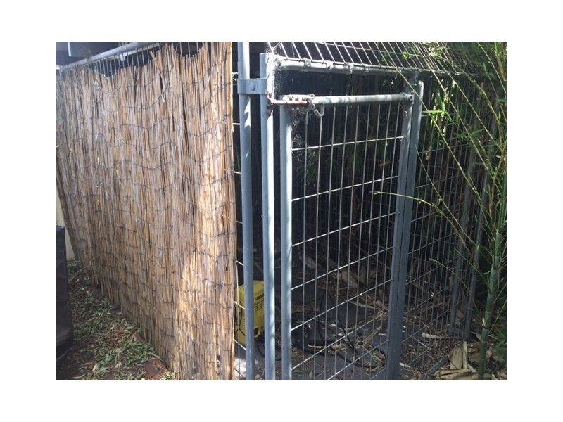 7 Little Mount Street, Pyrmont NSW 2009