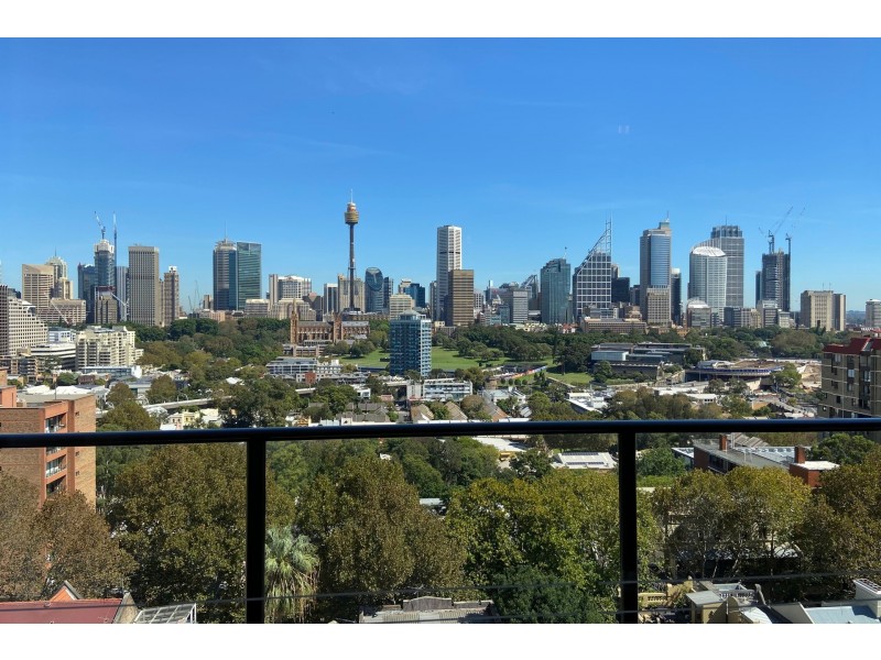 1101/2 Springfield Avenue, Potts Point NSW 2011