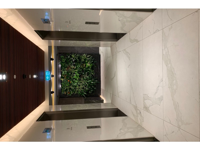 Level 57/5709/91 Liverpool Street, Sydney NSW 2000