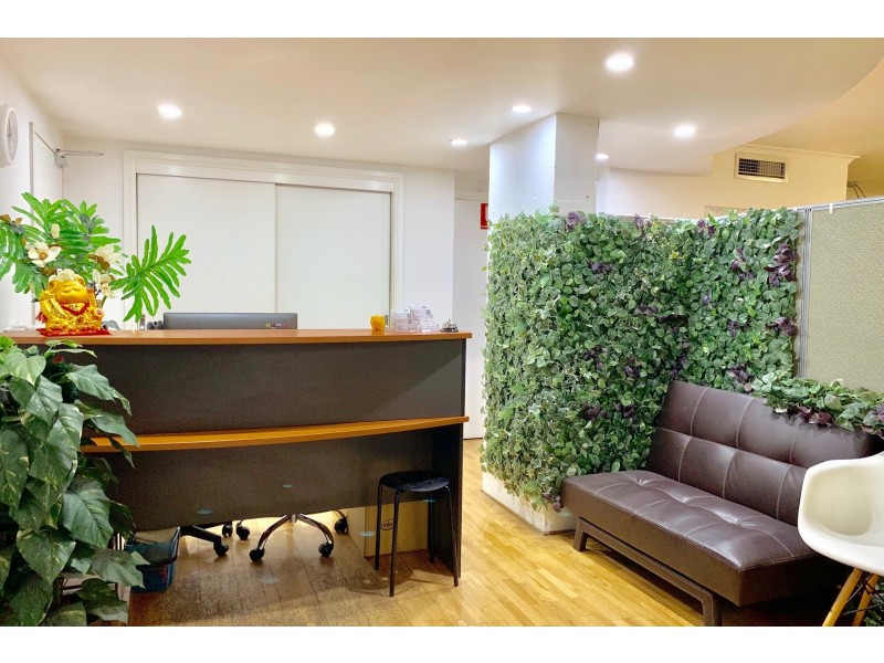 209 Harris Street, Pyrmont NSW 2009