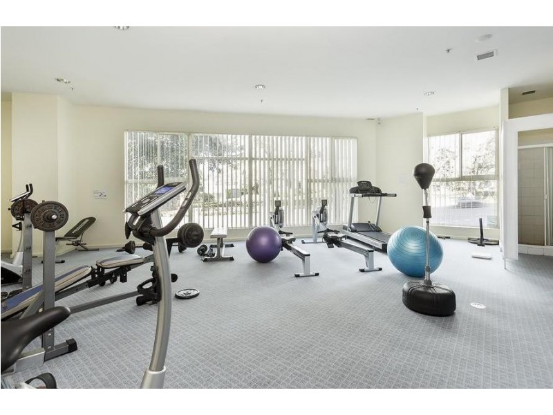 805/71-75 Regent Street, Chippendale NSW 2008