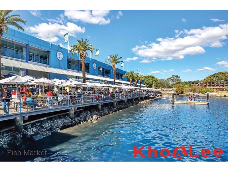 Shop 97/1-5  Harwood Street, Pyrmont NSW 2009