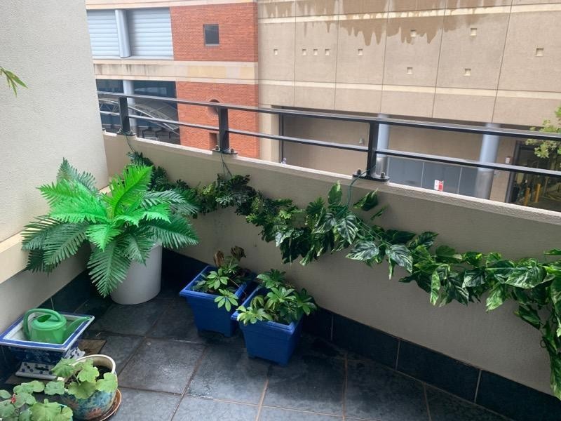 208/2 Jones Bay Road, Pyrmont NSW 2009