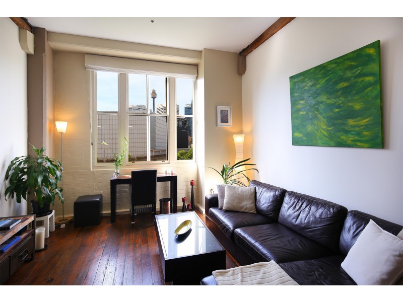 523/243 Pyrmont Street, Pyrmont NSW 2009