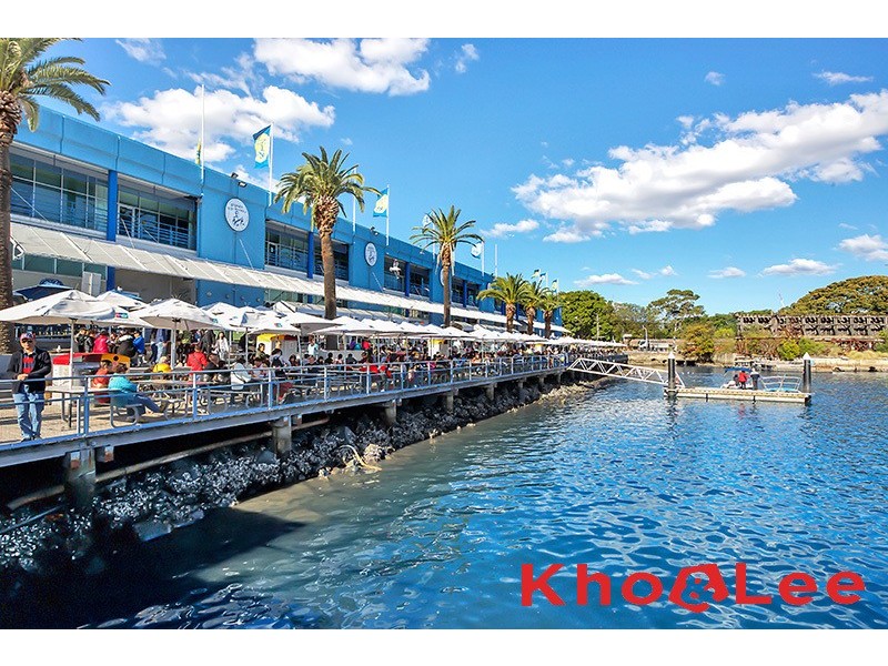 48/122 Saunders Street, Pyrmont NSW 2009