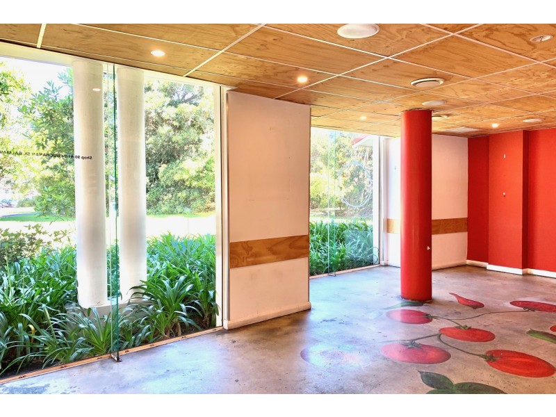 90&91/24 Buchanan Street, Balmain NSW 2041