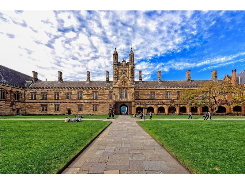 410/49 Regent Street, Chippendale NSW 2008