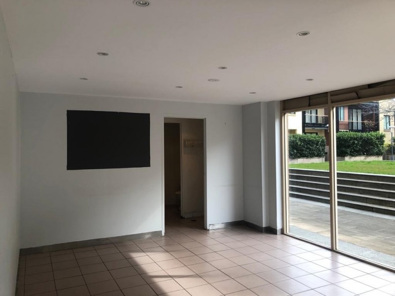 12/80 John Street, Pyrmont NSW 2009