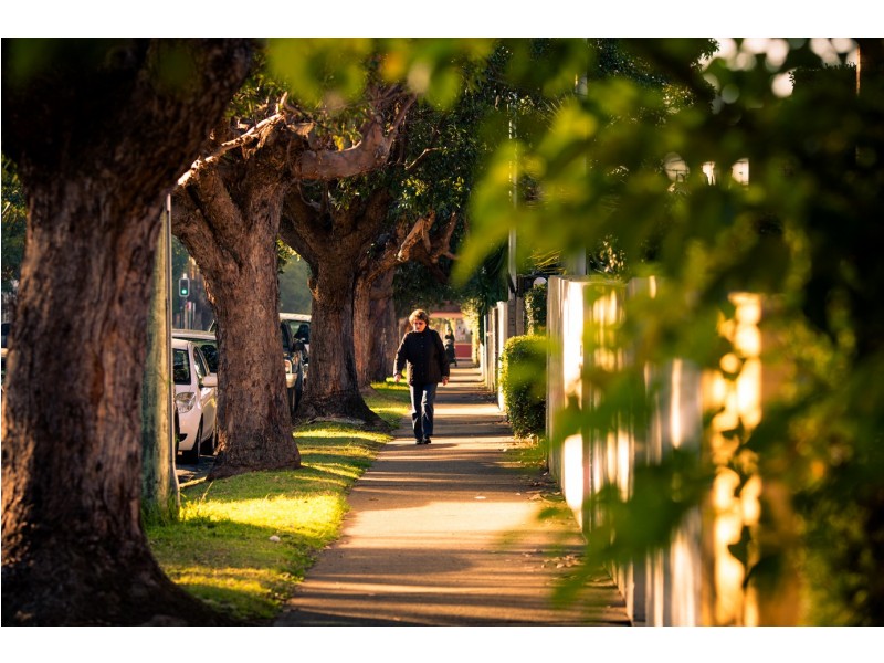 1306/9 Albany Street, St Leonards NSW 2065