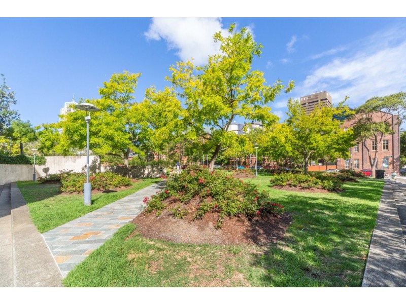 51/558  Jones Street, Ultimo NSW 2007