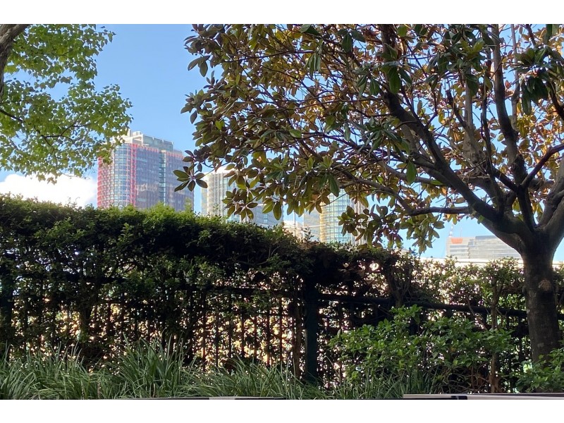 A203/24 Point Street, Pyrmont NSW 2009