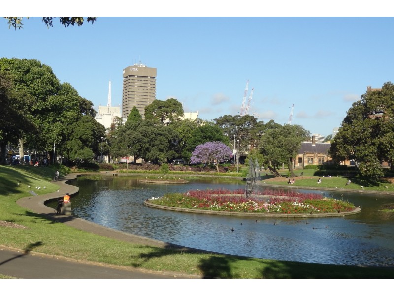 91-95 William Henry Street, Ultimo NSW 2007