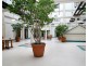 1004/185 Broadway, Ultimo NSW 2007