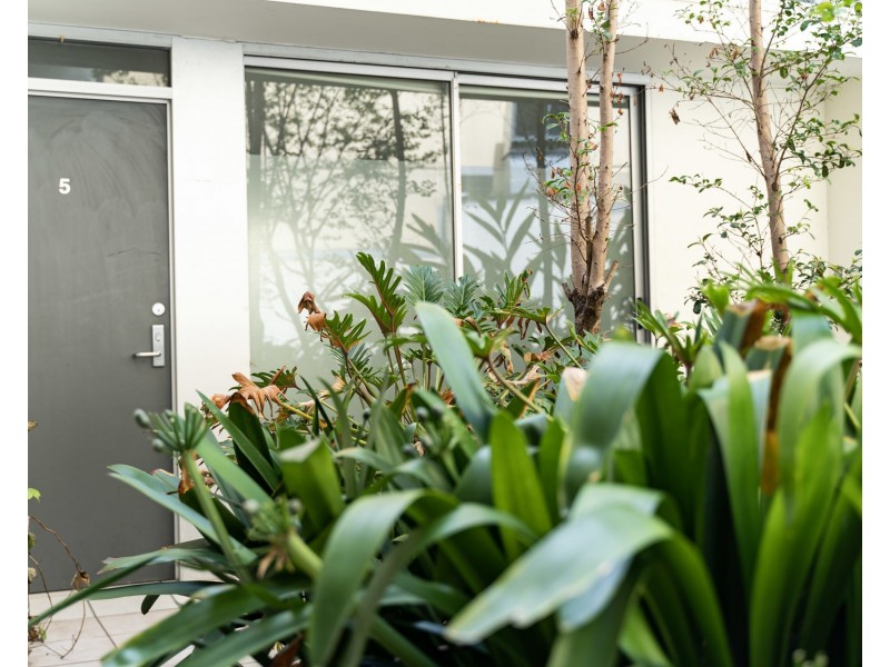 5/1 Shepherd Street, Chippendale NSW 2008