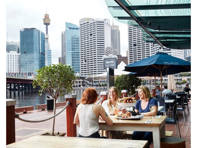 Level 5/39/16-30 Bunn Street, Pyrmont NSW 2009