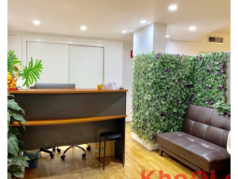 Shop 1/209  Harris Street, Pyrmont NSW 2009