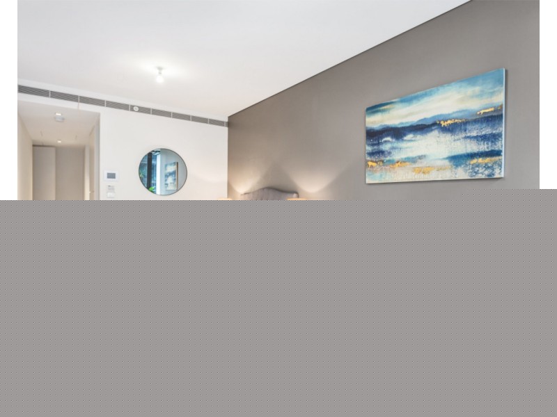 E1101/3 Carlton Street, Chippendale NSW 2008