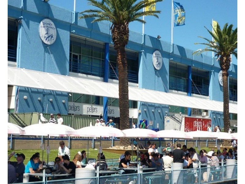 92/460 Jones Street, Ultimo NSW 2007