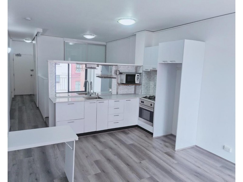 33/27 Regent Street, Chippendale NSW 2008