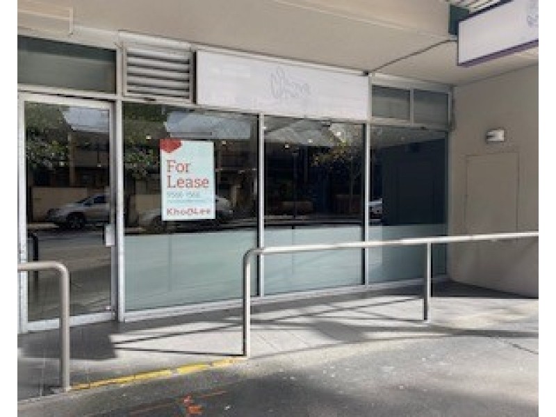 Shop 3/233  Harris Street, Pyrmont NSW 2009