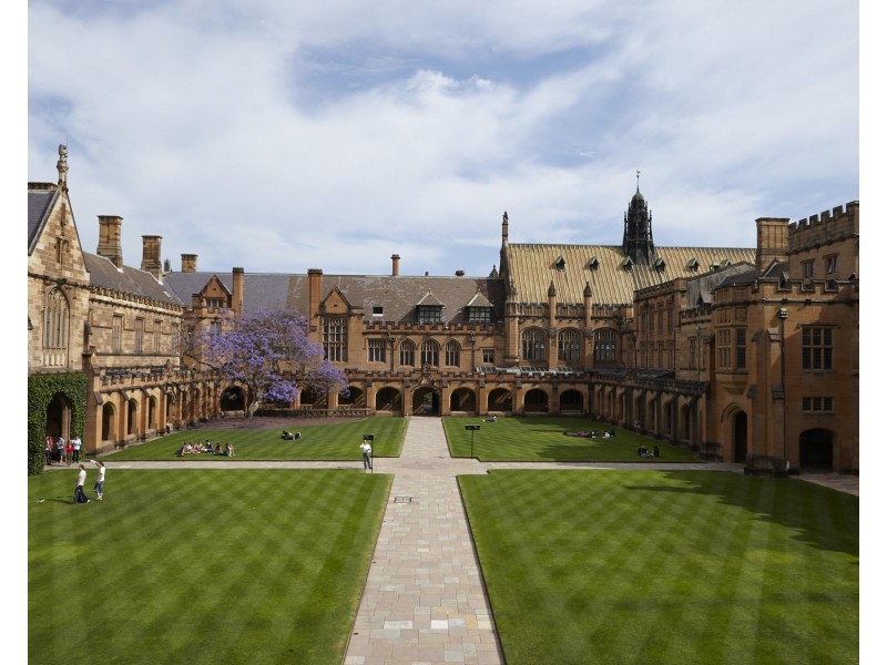 M808/78 Mountain Street, Ultimo NSW 2007