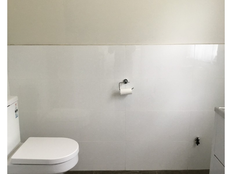 58 Brabyn Street, North Parramatta NSW 2151