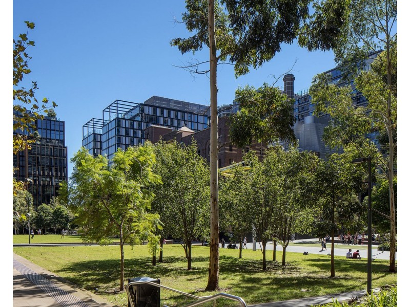 905/8 Central Park Avenue, Chippendale NSW 2008