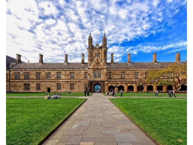 410/49 Regent Street, Chippendale NSW 2008