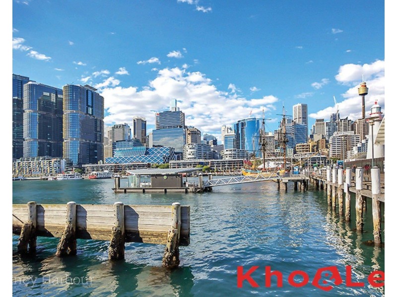 P916/287 Pyrmont St Street, Ultimo NSW 2007