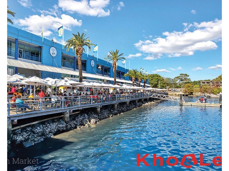 93 John Street, Pyrmont NSW 2009