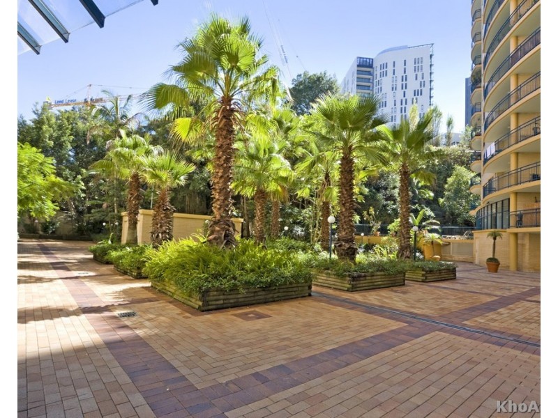 43/120 Saunders Street, Pyrmont NSW 2009