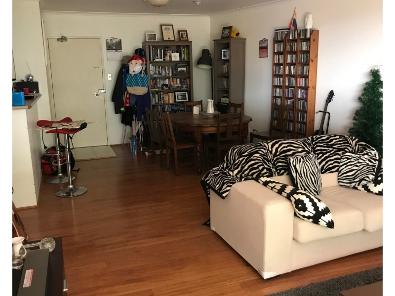 2/120 Saunders Street, Pyrmont NSW 2009