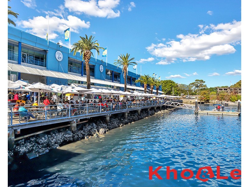 306/50 Murray Street, Pyrmont NSW 2009