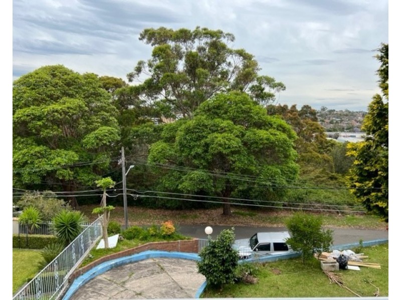 59 Highcliff Road, Earlwood NSW 2206