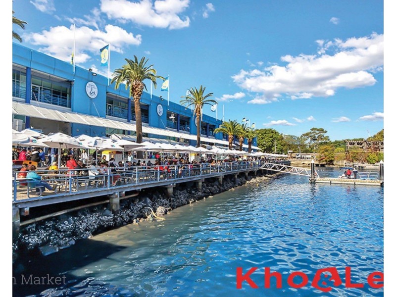 3 Union Street, Pyrmont NSW 2009