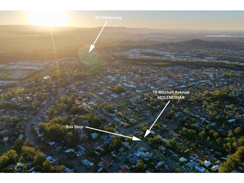 19 Mitchell Avenue, Molendinar QLD 4214