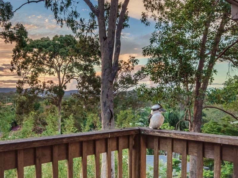 4 Harneil Place, Carrara QLD 4211