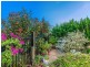 43 Whitsunday Circuit, Pimpama QLD 4209