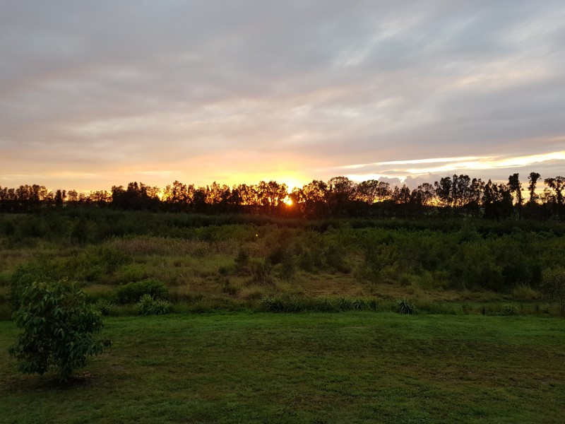 43 Whitsunday Circuit, Pimpama QLD 4209