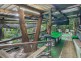 31 Forrest Avenue, Molendinar QLD 4214